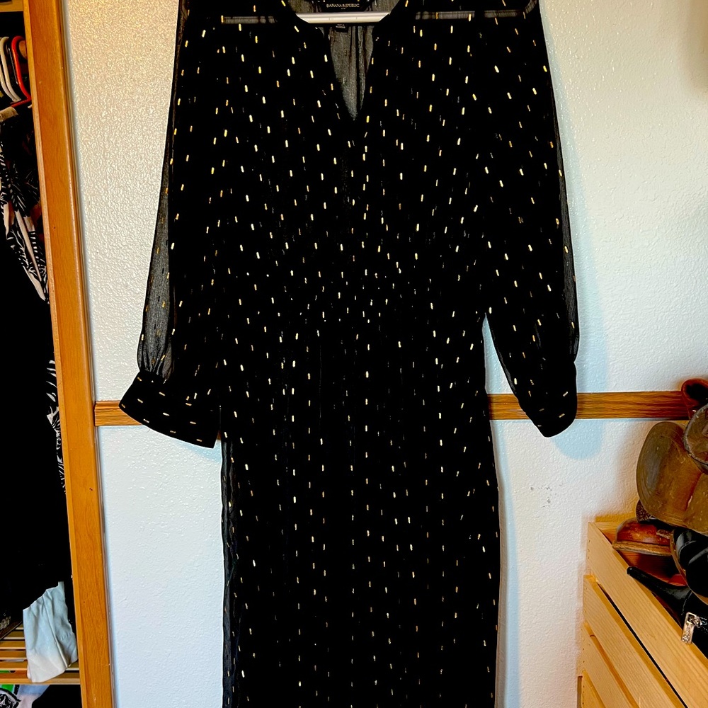 Sheer Black and Gold Banana Republic Dress